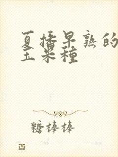 夏播早熟的高产玉米种