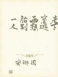 一胎两宝老婆大人别想逃下载txt