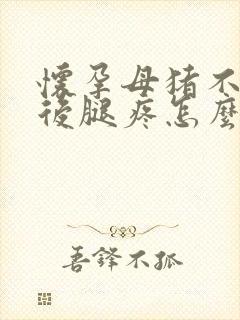 怀孕母猪不吃食后腿疼怎么办