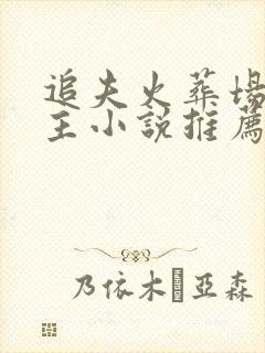 追夫火葬场双男主小说推荐