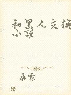 和黑人交换女友小说