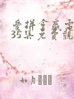 爱拼会赢电视剧35集免费观看高清