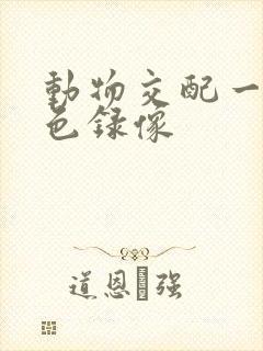 动物交配一级黄色录像