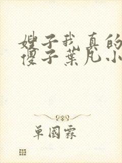 嫂子我真的不是傻子叶凡小说 原名