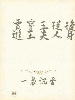 贾宝玉从后面挺进王夫人身体小说