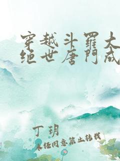 穿越斗罗大陆2绝世唐门成为霍雨浩的小说