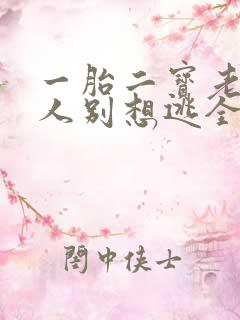 一胎二宝老婆大人别想逃全文免费阅读