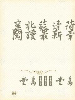 宁北苏清荷免费阅读最新章节笔趣阁