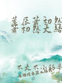 叶辰萧初然叶辰萧初然大结局