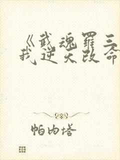 《武魂罗三炮,我逆天改命》