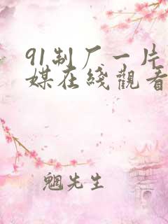 91制厂一片传媒在线观看