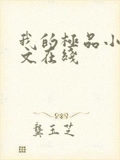 我的极品小姨全文在线