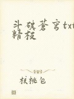 斗破苍穹txt精校