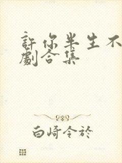 许你半生不见短剧合集