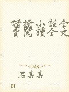 错撩小说全文免费阅读全文