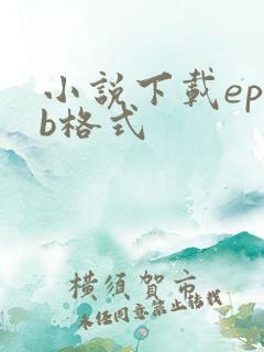 小说下载epub格式