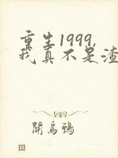 重生1999,我真不是渣男啊
