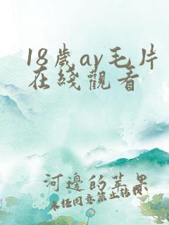18岁av毛片在线观看