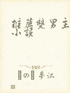 推荐双男主言情小说