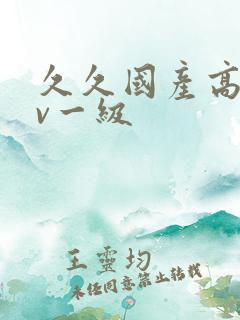 久久国产高清av一级