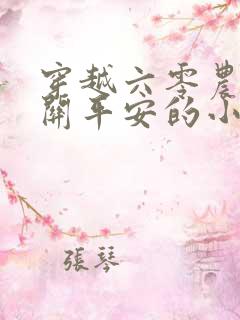 穿越六零农家女关平安的小说