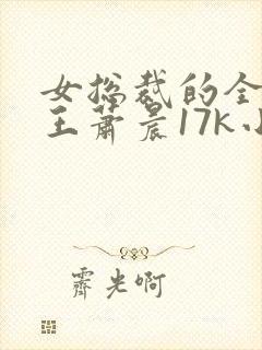 女总裁的全能兵王萧晨17k小说网