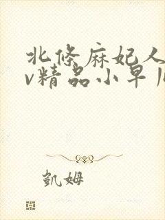 北条麻妃人妻av精品小早川怜子