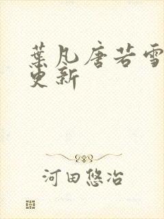 叶凡唐若雪更快更新