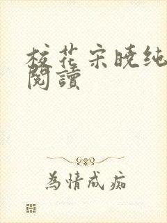 校花宋晓纯全文阅读