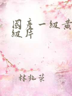 国产一级黄色一级片