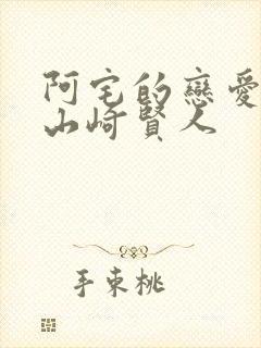 阿宅的恋爱真难山崎贤人