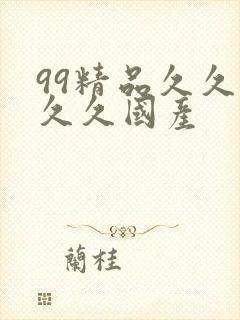 99精品久久久久久国产