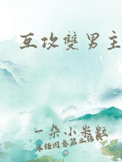 互攻双男主文
