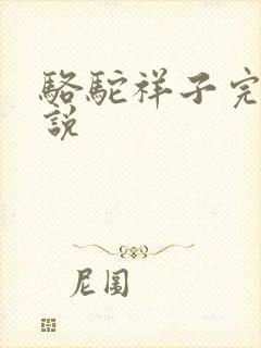 骆驼祥子完整小说