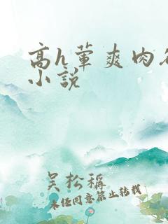 高h荤爽肉欲文小说