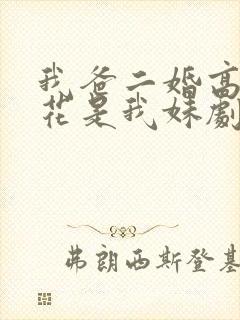 我爸二婚高冷校花是我妹剧