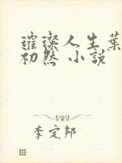 璀璨人生叶辰萧初然 小说