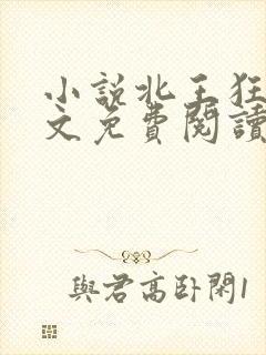 小说北王狂刀全文免费阅读