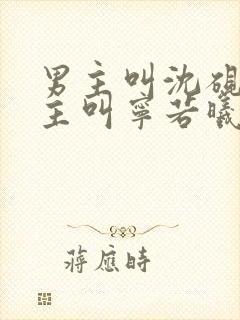 男主叫沈砚舟女主叫宁若曦的小说