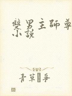 双男主师尊攻的小说