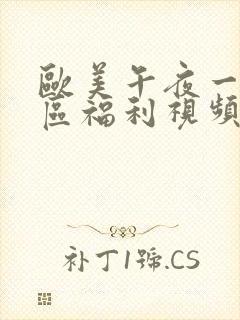 欧美午夜一区二区福利视频