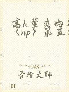 高h荤爽肉欲文〈np〉第五次