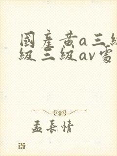 国产黄a三级三级三级av处女