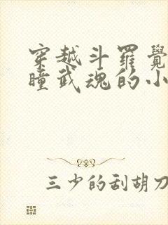 穿越斗罗觉醒重瞳武魂的小说