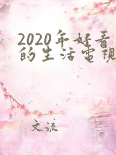 2020年好看的生活电视剧