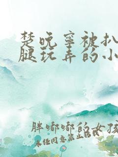 楚晚宁被扒开双腿玩弄的小说