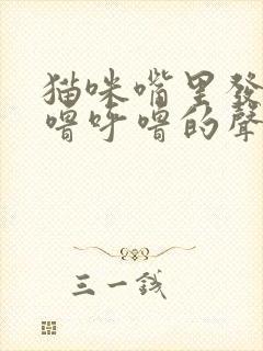 猫咪嘴里发出呼噜呼噜的声音