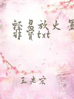 轻易放火 墨宝非宝txt