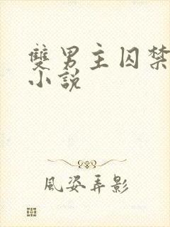 双男主囚禁强制小说