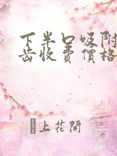 下半口吸附性义齿收费价格